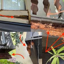 Termite damage dry rot repair 003