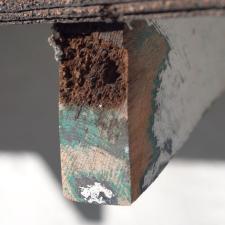 Termite damage dry rot repair 001